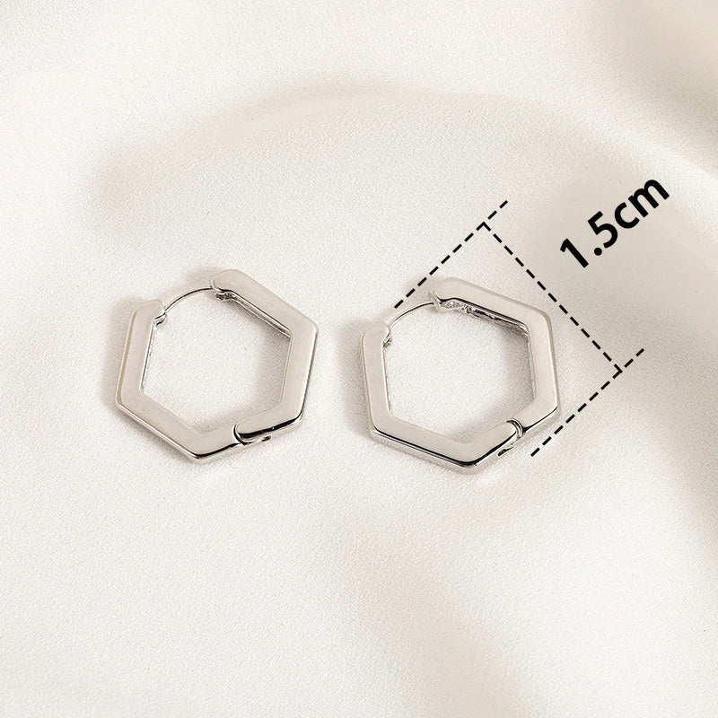 Trendy High-quality Twisted Hoop Earrings  Ear Rings for Women Silver Color Designer Jewelry New Arrival 2022