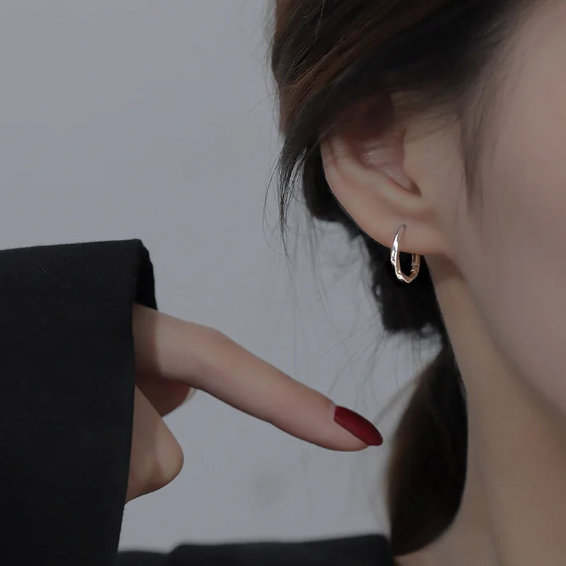 Trendy High-quality Twisted Hoop Earrings  Ear Rings for Women Silver Color Designer Jewelry New Arrival 2022